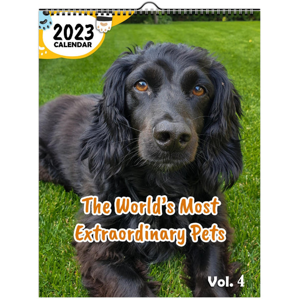 The World's Most Extraordinary Pets Volume Four: 2023 Wall Calendar