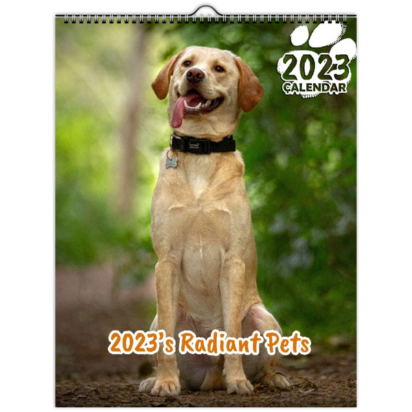 2023's Radiant Pets: 2023 Wall Calendar