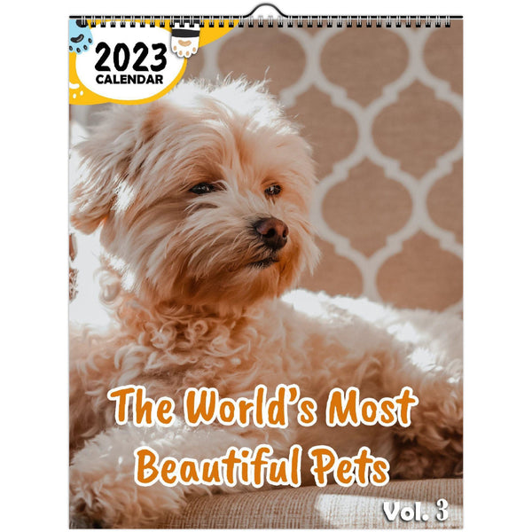 The World's Most Beautiful Pets Volume Three: 2023 Wall Calendar