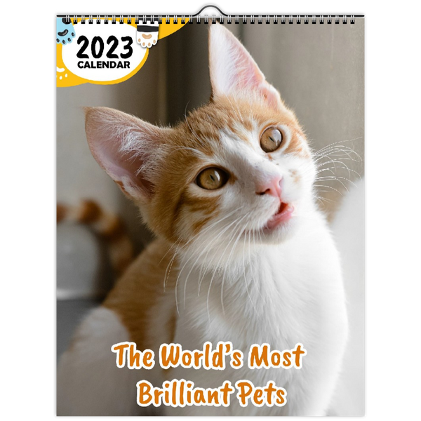 The World's Most Brilliant Pets: 2023 Wall Calendar