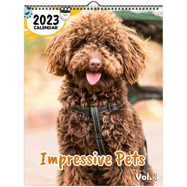 Impressive Pets Volume Three: 2023 Wall Calendar