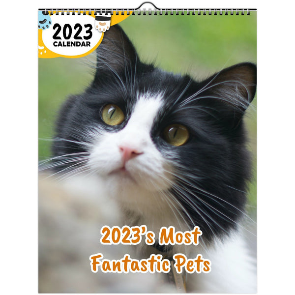 2023's Most Fantastic Pets: 2023 Wall Calendar