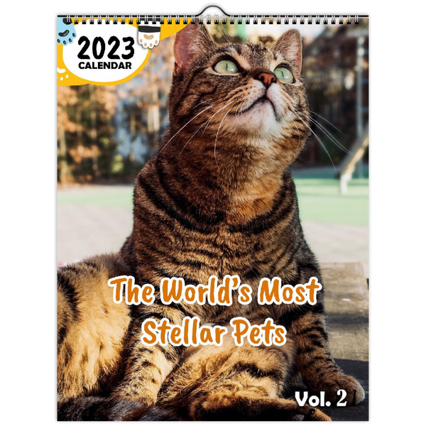 The World's Most Stellar Pets Volume Two: 2023 Wall Calendar
