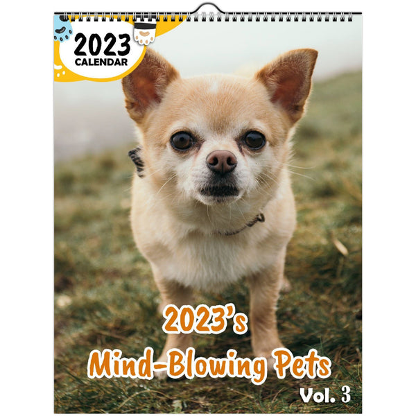 2023's Mind-Blowing Pets Volume Three: 2023 Wall Calendar