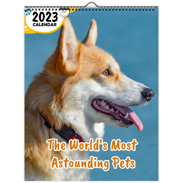 The World's Most Astounding Pets: 2023 Wall Calendar