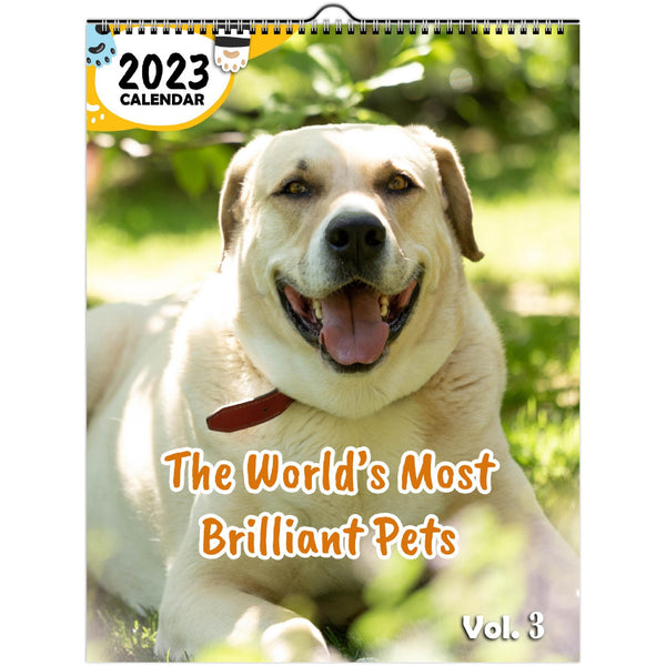 The World's Most Brilliant Pets Volume Three: 2023 Wall Calendar