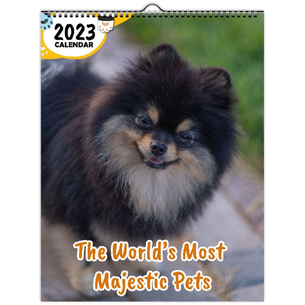 The World's Most Majestic Pets: 2023 Wall Calendar