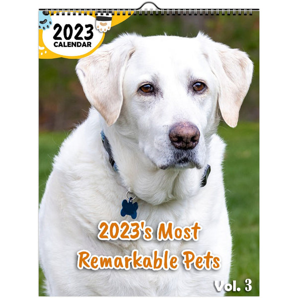 2023's Most Remarkable Pets Volume Three: 2023 Wall Calendar