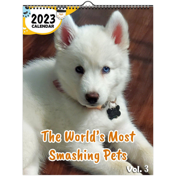 The World's Most Smashing Pets Volume Three: 2023 Wall Calendar