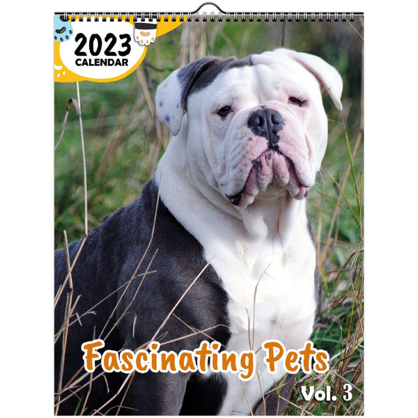 Fascinating Pets Volume Three: 2023 Wall Calendar