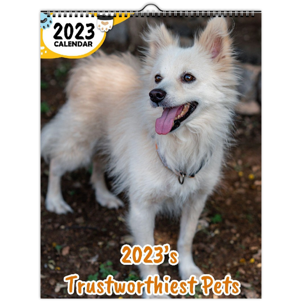 2023's Trustworthiest Pets: 2023 Wall Calendar