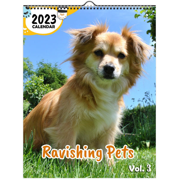 Ravishing Pets Volume Three: 2023 Wall Calendar