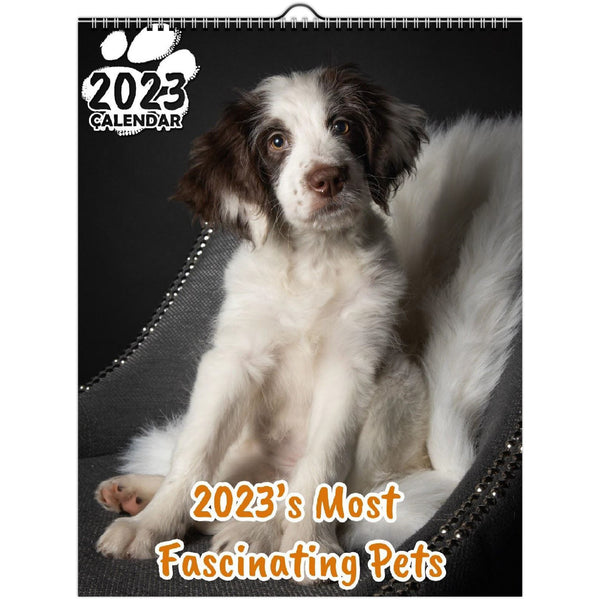 2023's Most Fascinating Pets: 2023 Wall Calendar