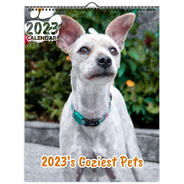 2023's Coziest Pets: 2023 Wall Calendar