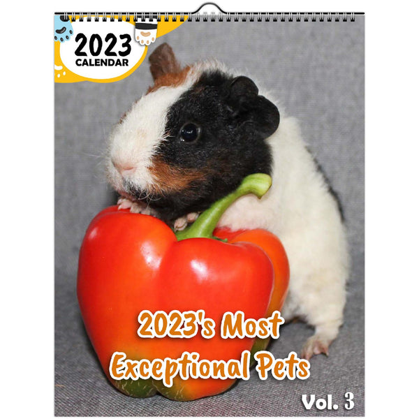 2023's Most Exceptional Pets Volume Three: 2023 Wall Calendar