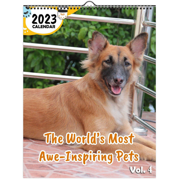 The World's Most Awe-Inspiring Pets Volume Four: 2023 Wall Calendar