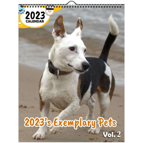 2023's Exemplary Pets Volume Two: 2023 Wall Calendar