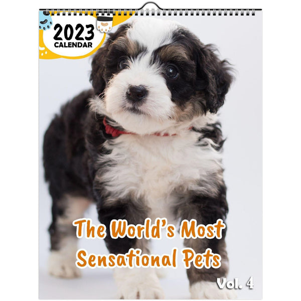 The World's Most Sensational Pets Volume Four: 2023 Wall Calendar