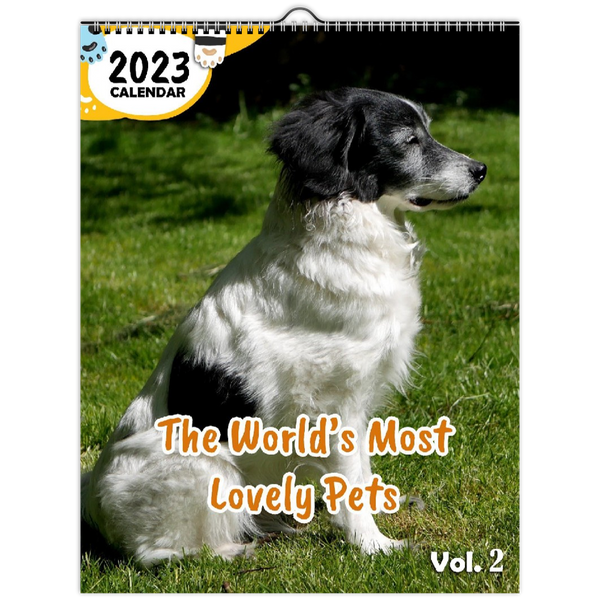The World's Most Lovely Pets Volume Two: 2023 Wall Calendar