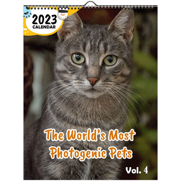 The World's Most Photogenic Pets Volume Four: 2023 Wall Calendar