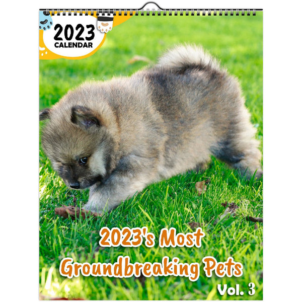 2023's Most Groundbreaking Pets Volume Three: 2023 Wall Calendar