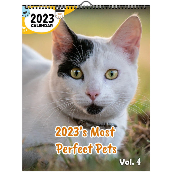 2023's Most Perfect Pets Volume Four: 2023 Wall Calendar