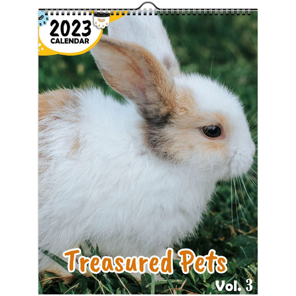 Treasured Pets Volume Three: 2023 Wall Calendar