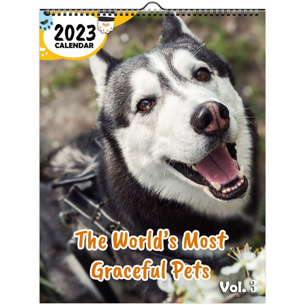 The World's Most Graceful Pets Volume Three: 2023 Wall Calendar