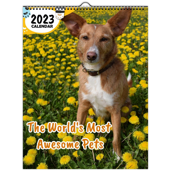 The World's Most Awesome Pets: 2023 Wall Calendar