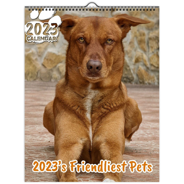 2023's Friendliest Pets: 2023 Wall Calendar