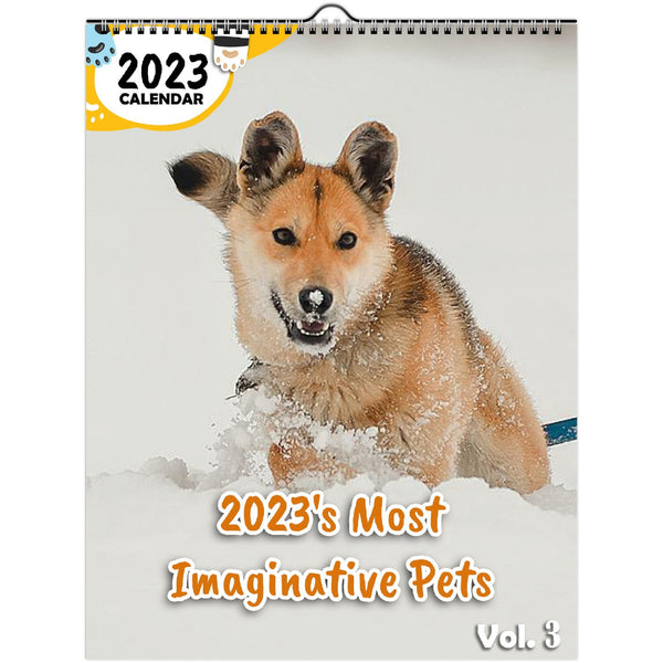 2023's Most Imaginative Pets Volume Three: 2023 Wall Calendar