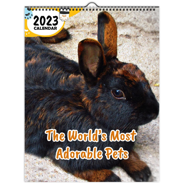 The World's Most Adorable Pets: 2023 Wall Calendar