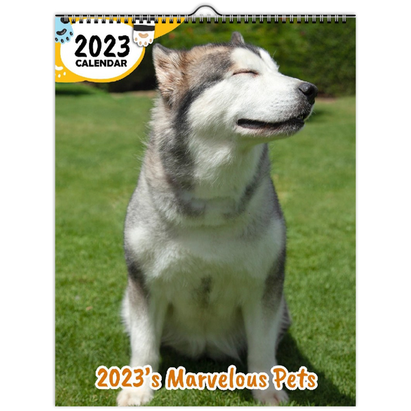 2023's Marvelous Pets: 2023 Wall Calendar