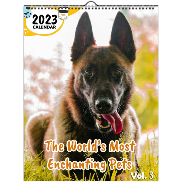 The World's Most Enchanting Pets Volume Three: 2023 Wall Calendar