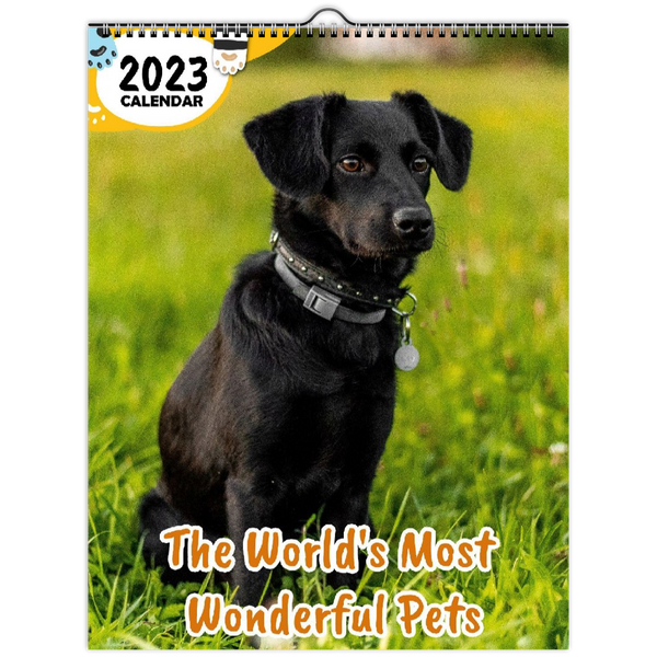 The World's Most Wonderful Pets: 2023 Wall Calendar