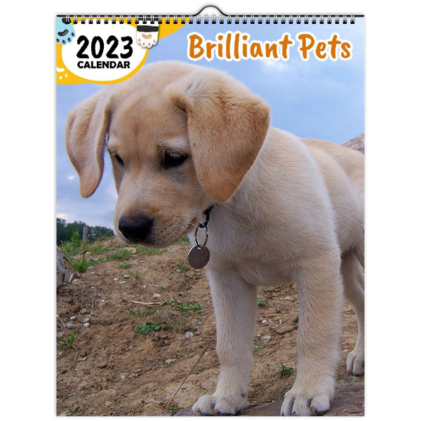 Brilliant Pets: 2023 Wall Calendar