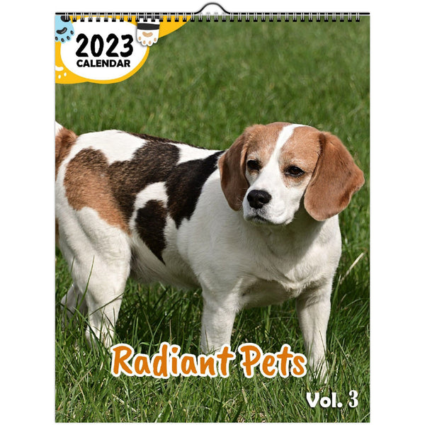 Radiant Pets Volume Three: 2023 Wall Calendar