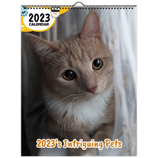 2023's Intriguing Pets: 2023 Wall Calendar