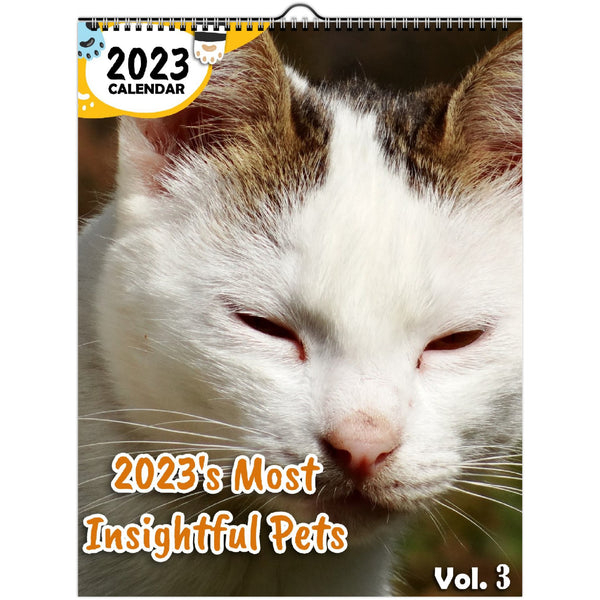 2023's Most Insightful Pets Volume Three: 2023 Wall Calendar