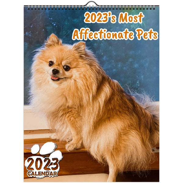 2023's Most Affectionate Pets: 2023 Wall Calendar