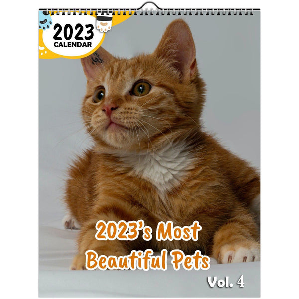 2023's Most Beautiful Pets Volume Four: 2023 Wall Calendar