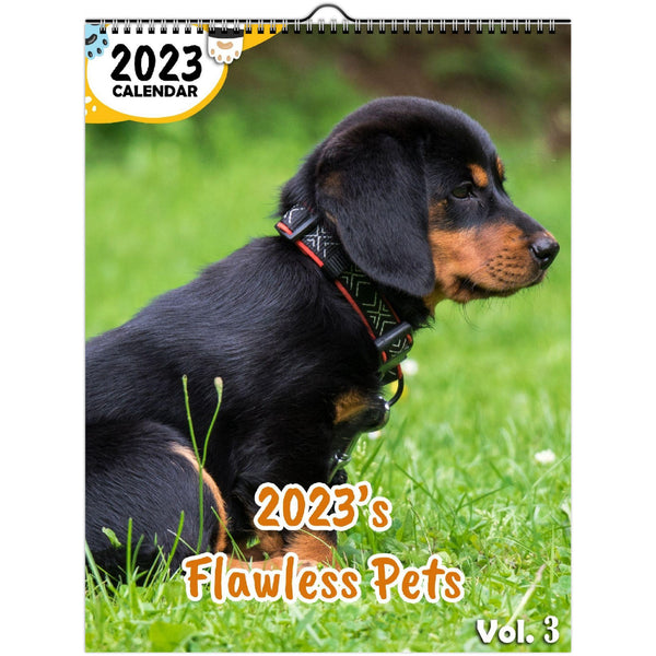 2023's Flawless Pets Volume Three: 2023 Wall Calendar