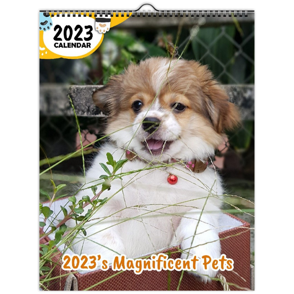 2023's Magnificent Pets: 2023 Wall Calendar