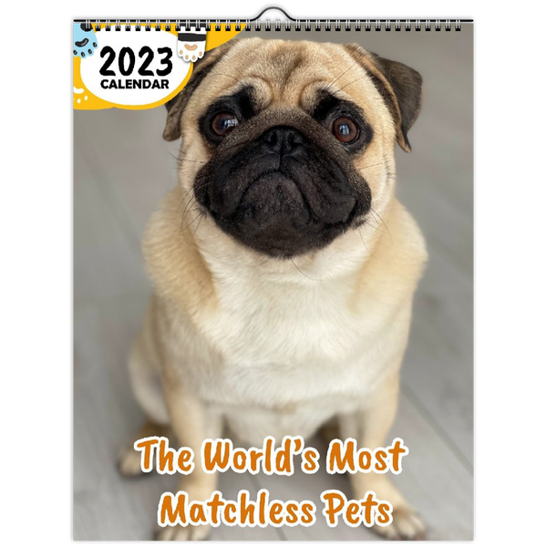 The World's Most Matchless Pets: 2023 Wall Calendar