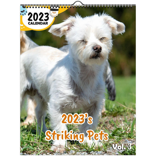 2023's Striking Pets Volume Three: 2023 Wall Calendar