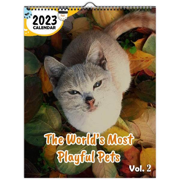 The World's Most Playful Pets Volume Two: 2023 Wall Calendar