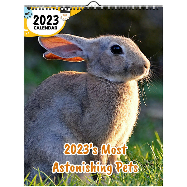 2023's Most Astonishing Pets: 2023 Wall Calendar