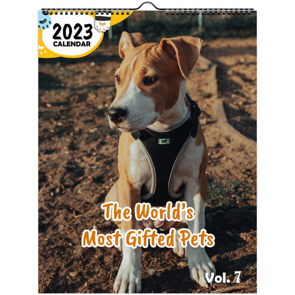 The World's Most Gifted Pets Volume Seven: 2023 Wall Calendar