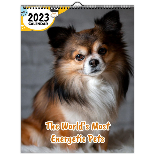 The World's Most Energetic Pets: 2023 Wall Calendar