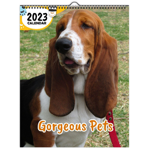 Gorgeous Pets: 2023 Wall Calendar